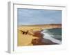 Red Beach, Paracas National Reserve, Ica Region, Peru, South America-Karol Kozlowski-Framed Photographic Print