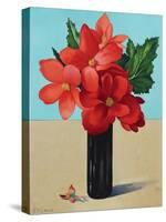 Red Begonias-Christopher Ryland-Stretched Canvas