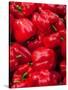 Red Bell Peppers for Sale at Weekly Market, Arles, Bouches-Du-Rhone, Provence-Alpes-Cote D'Azur-null-Stretched Canvas