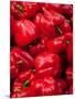 Red Bell Peppers for Sale at Weekly Market, Arles, Bouches-Du-Rhone, Provence-Alpes-Cote D'Azur-null-Mounted Photographic Print