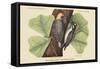 Red Bellied Woodpecker-Mark Catesby-Framed Stretched Canvas