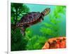 Red Belly Turtle Hatchling, Native to Southern USA-David Northcott-Framed Photographic Print