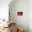 Red Belly Turtle-David Northcott-Stretched Canvas displayed on a wall