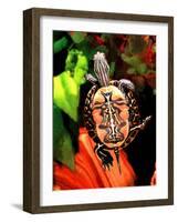 Red Belly Turtle-David Northcott-Framed Photographic Print