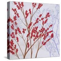 Red Berries-Herb Dickinson-Stretched Canvas