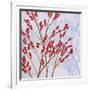 Red Berries-Herb Dickinson-Framed Photographic Print