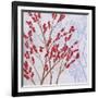 Red Berries-Herb Dickinson-Framed Photographic Print