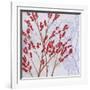 Red Berries-Herb Dickinson-Framed Photographic Print