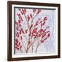 Red Berries-Herb Dickinson-Framed Photographic Print