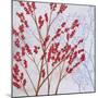 Red Berries-Herb Dickinson-Mounted Premium Photographic Print