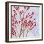 Red Berries-Herb Dickinson-Framed Photographic Print