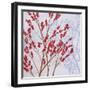 Red Berries-Herb Dickinson-Framed Photographic Print