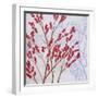 Red Berries-Herb Dickinson-Framed Photographic Print