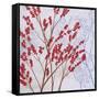 Red Berries-Herb Dickinson-Framed Stretched Canvas