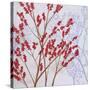 Red Berries-Herb Dickinson-Stretched Canvas