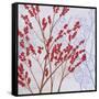 Red Berries-Herb Dickinson-Framed Stretched Canvas