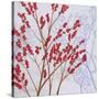 Red Berries-Herb Dickinson-Stretched Canvas