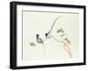 Red-Billed Blue Magpies, on a Branch with Red Berries, Ch'Ien-Lung Period-Chinese School-Framed Giclee Print