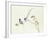 Red-Billed Blue Magpies, on a Branch with Red Berries, Ch'Ien-Lung Period-Chinese School-Framed Giclee Print