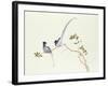 Red-Billed Blue Magpies, on a Branch with Red Berries, Ch'Ien-Lung Period-Chinese School-Framed Giclee Print