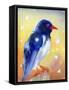 Red Billed Magpie with Snow Drops , 2012-Nancy Moniz Charalambous-Framed Stretched Canvas