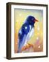 Red Billed Magpie with Snow Drops , 2012-Nancy Moniz Charalambous-Framed Giclee Print