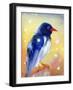 Red Billed Magpie with Snow Drops , 2012-Nancy Moniz Charalambous-Framed Giclee Print