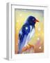 Red Billed Magpie with Snow Drops , 2012-Nancy Moniz Charalambous-Framed Giclee Print