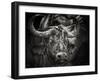 Red-Billed Oxpecker and the Buffalo-Mathilde Guillemot-Framed Photographic Print