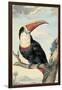 Red-billed Toucan, c. 1748-Aert Schouman-Framed Art Print