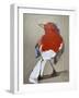 Red Bird I-Erin McGee Ferrell-Framed Art Print