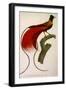 Red Bird of Paradise, Paradisaea Rubra-Jacques Barraband-Framed Giclee Print