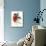 Red Bird-Of-Paradise-null-Stretched Canvas displayed on a wall