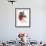 Red Bird-Of-Paradise-null-Framed Giclee Print displayed on a wall