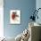 Red Bird-Of-Paradise-null-Mounted Giclee Print displayed on a wall