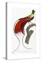 Red Bird of Paradise-Jacques Barraband-Stretched Canvas