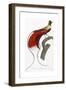 Red Bird of Paradise-Jacques Barraband-Framed Giclee Print