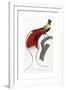 Red Bird of Paradise-Jacques Barraband-Framed Giclee Print