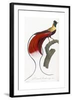 Red Bird of Paradise-Jacques Barraband-Framed Giclee Print