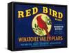 Red Bird Pear Crate Label - Pashastin, WA-Lantern Press-Framed Stretched Canvas