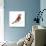 Red Bird, Pine Grosbeak-Conceptcafe-Photographic Print displayed on a wall