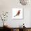 Red Bird, Pine Grosbeak-Conceptcafe-Photographic Print displayed on a wall