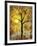 Red Birds Tree-Blenda Tyvoll-Framed Giclee Print