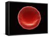 Red Blood Cell, SEM-Steve Gschmeissner-Framed Stretched Canvas