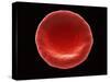 Red Blood Cell, SEM-Steve Gschmeissner-Stretched Canvas