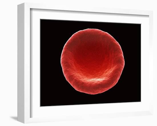 Red Blood Cell, SEM-Steve Gschmeissner-Framed Photographic Print