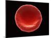 Red Blood Cell, SEM-Steve Gschmeissner-Mounted Photographic Print