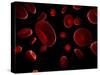 Red Blood Cells, Artwork-SCIEPRO-Stretched Canvas