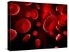 Red Blood Cells, Artwork-SCIEPRO-Stretched Canvas