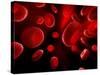 Red Blood Cells, Artwork-SCIEPRO-Stretched Canvas